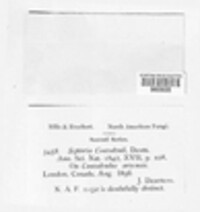 Image Associated With the Occurence